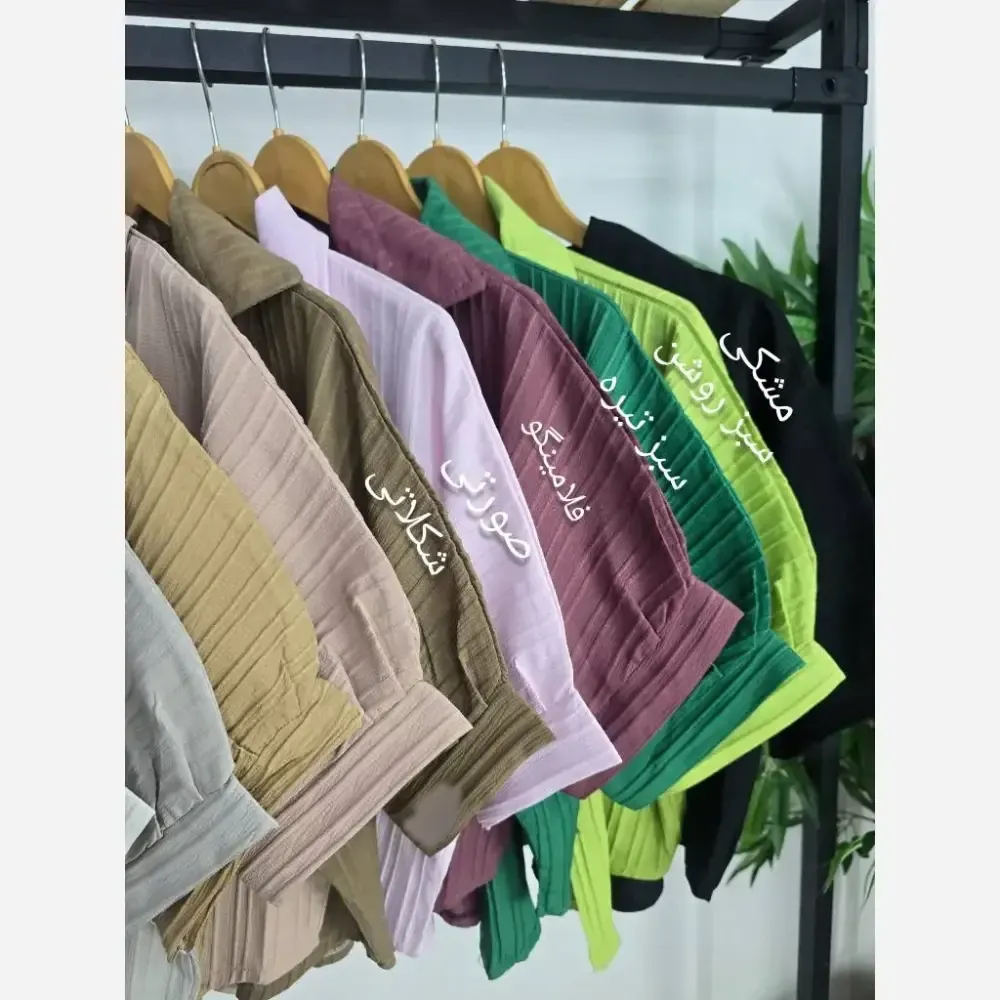 شومیز کراپ باکسی آیوا پلاس رنگبندی متنوع فری تا 48